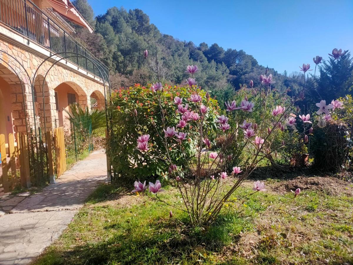 Un Brin De Paille Villa Cagnes-sur-Mer Bagian luar foto