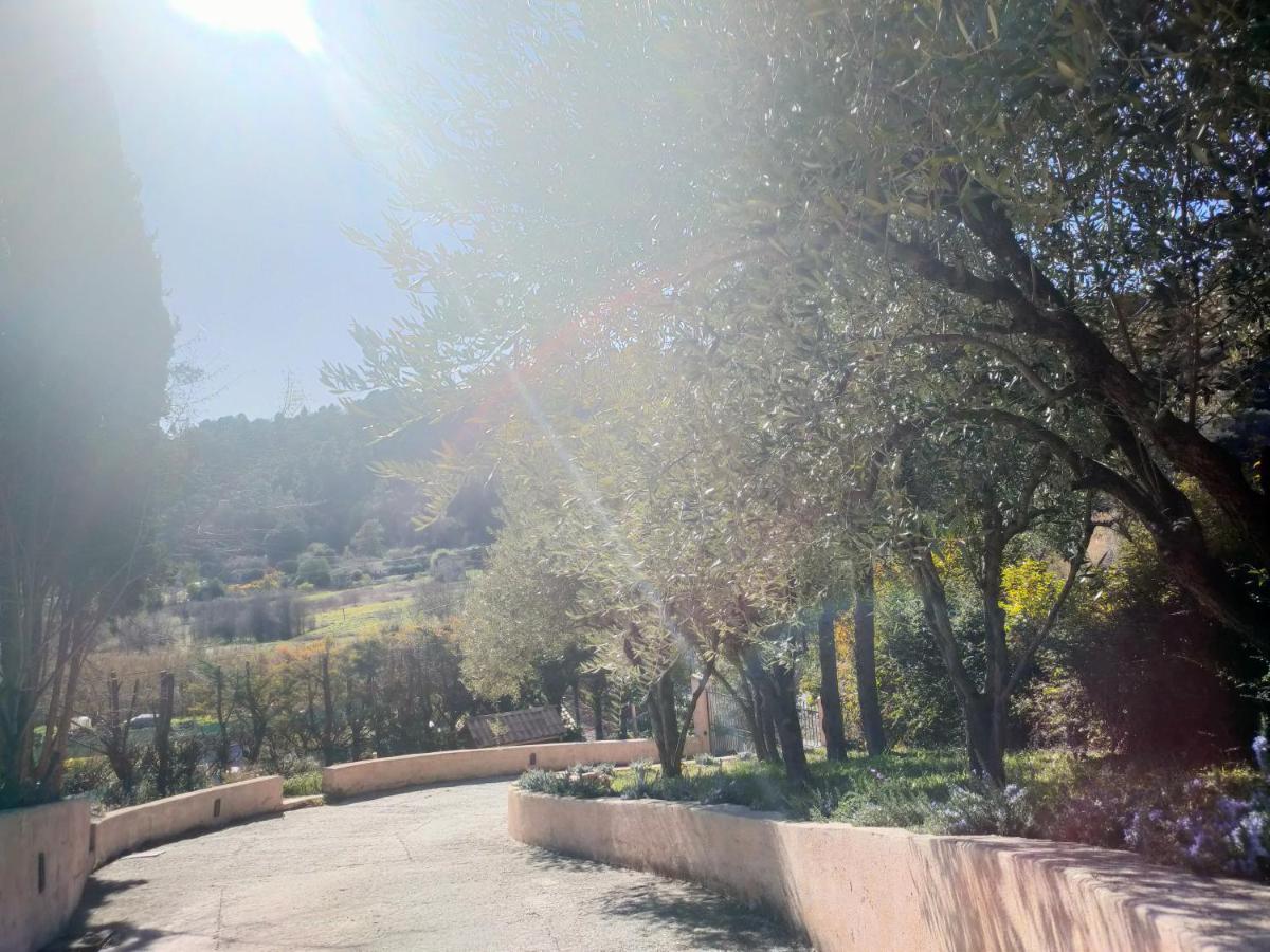 Un Brin De Paille Villa Cagnes-sur-Mer Bagian luar foto